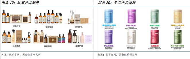 臣公司深度研究：新枝已绽华斐启新纪元PG电子麻将胡了国金纺服杨欣｜若羽(图4)